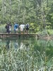 resIMG_20220608_125952_IMG_8584_HEIC.jpg